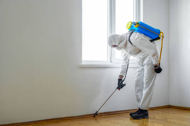 Best Indoor Pest Control  in Smyrna, DE